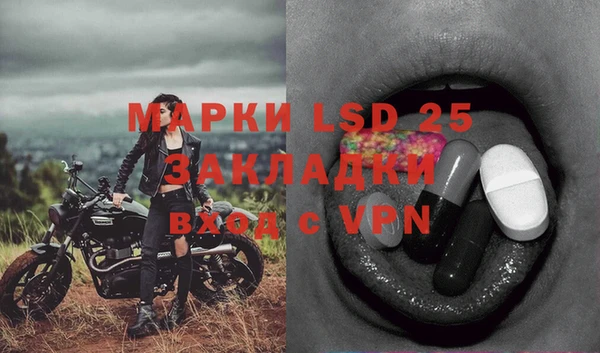 ПСИЛОЦИБИНОВЫЕ ГРИБЫ Володарск