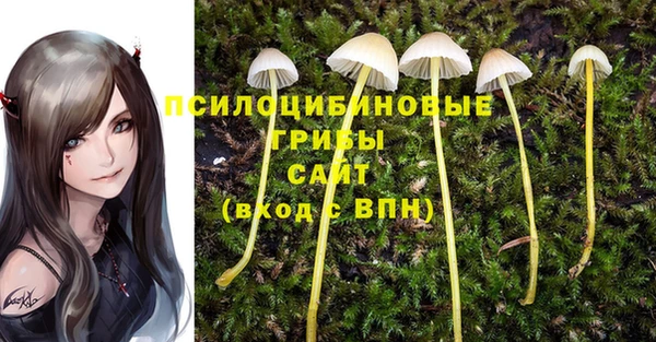 a pvp Вяземский