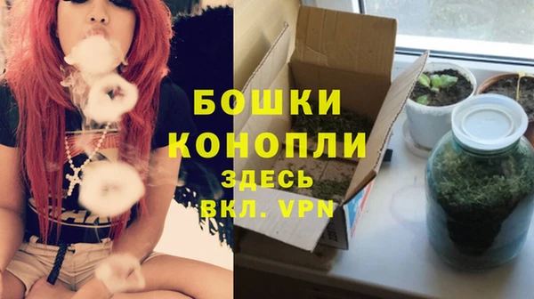 spice Вязьма