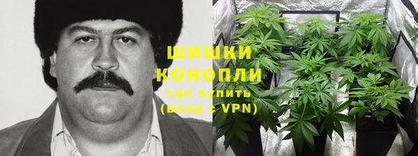 spice Вязьма