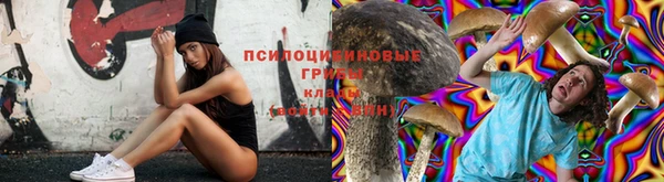 spice Вязьма