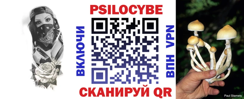 Псилоцибиновые грибы GOLDEN TEACHER  Купить  Нолинск 