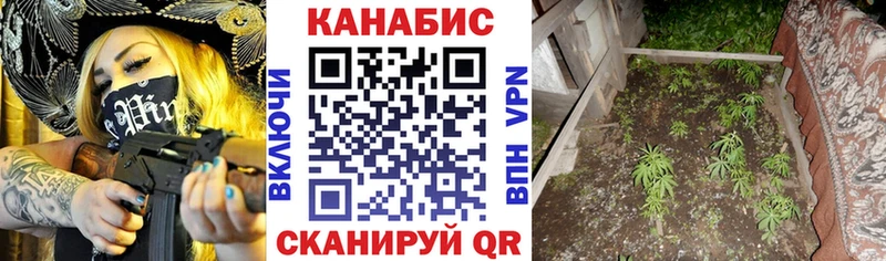 Купить  Нолинск  Бошки марихуана план 